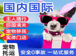 湿地航空物流国际宠物托运 【国